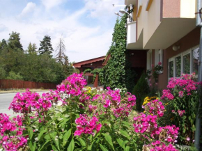  Guest House Zodiac  Самоков